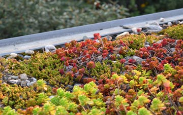 the cost of Grittlesend green roof installation
