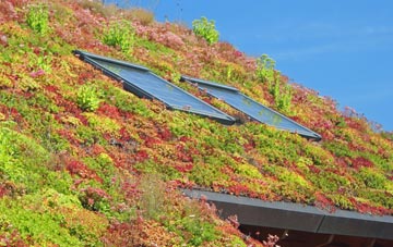 Grittlesend living roof systems